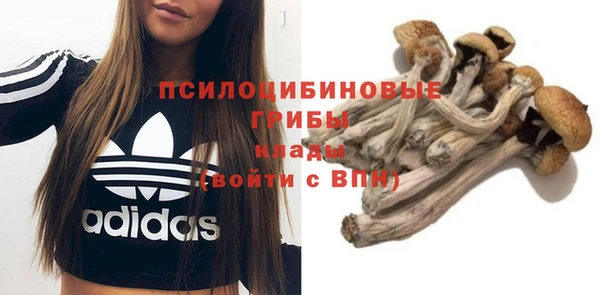 дмт Покров