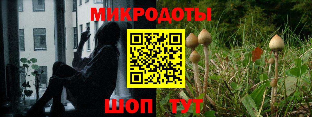 ЭКСТАЗИ  Ртищево  Alpha-PVP СОЛЬ   Меф МЯУ МЯУ   Вход с VPN  Каннабис  ГАШИШ  Кокаин  LSD-25 