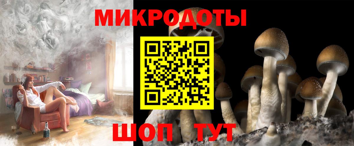 Галлюциногенные грибы прущие грибы Ртищево